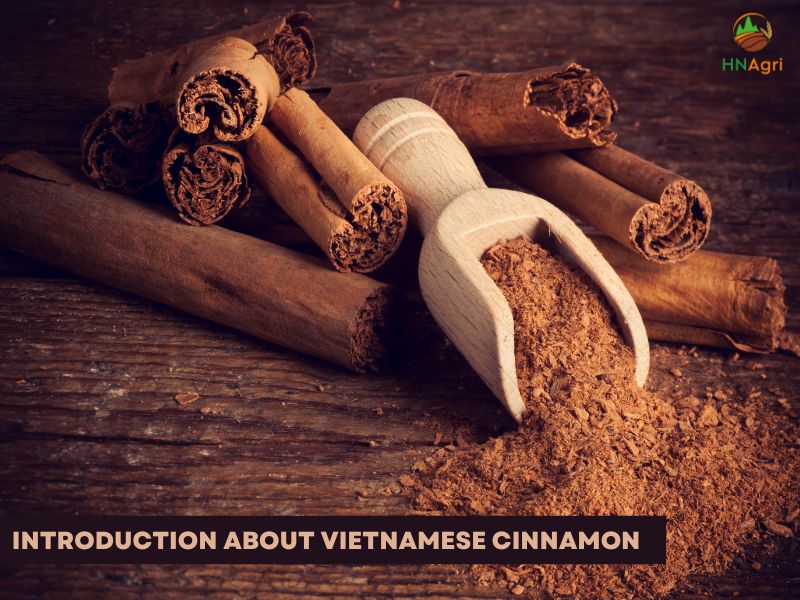 vietnamese-cinnamon-and-everything-you-possibly-need-to-know-2