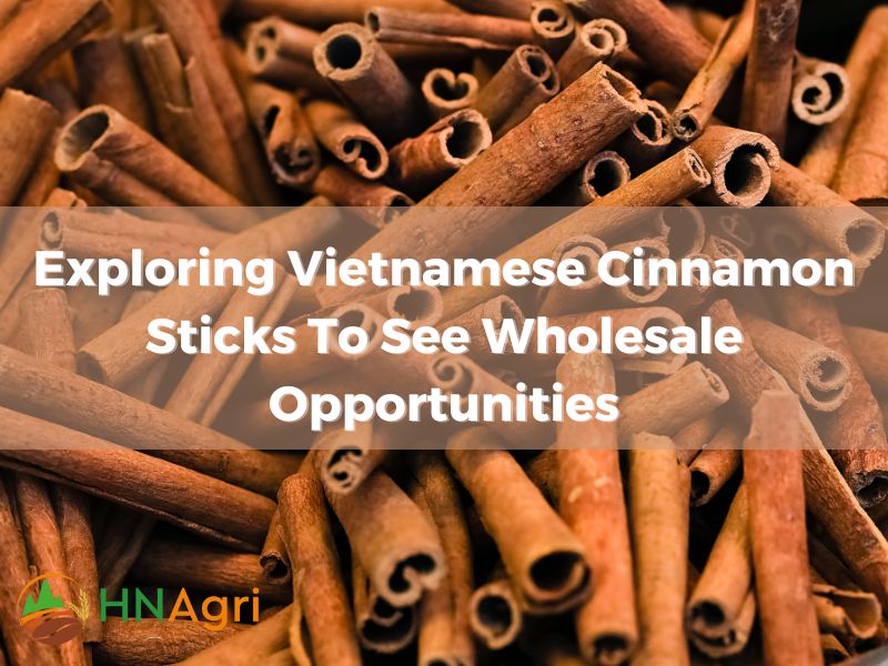 exploring-vietnamese-cinnamon-sticks-to-see-wholesale-opportunities