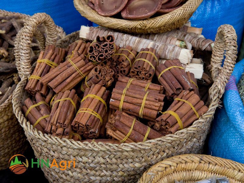 cassia-cinnamon-crafting-unforgettable-culinary-experiences-1